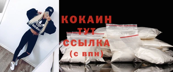молекула духа Краснослободск