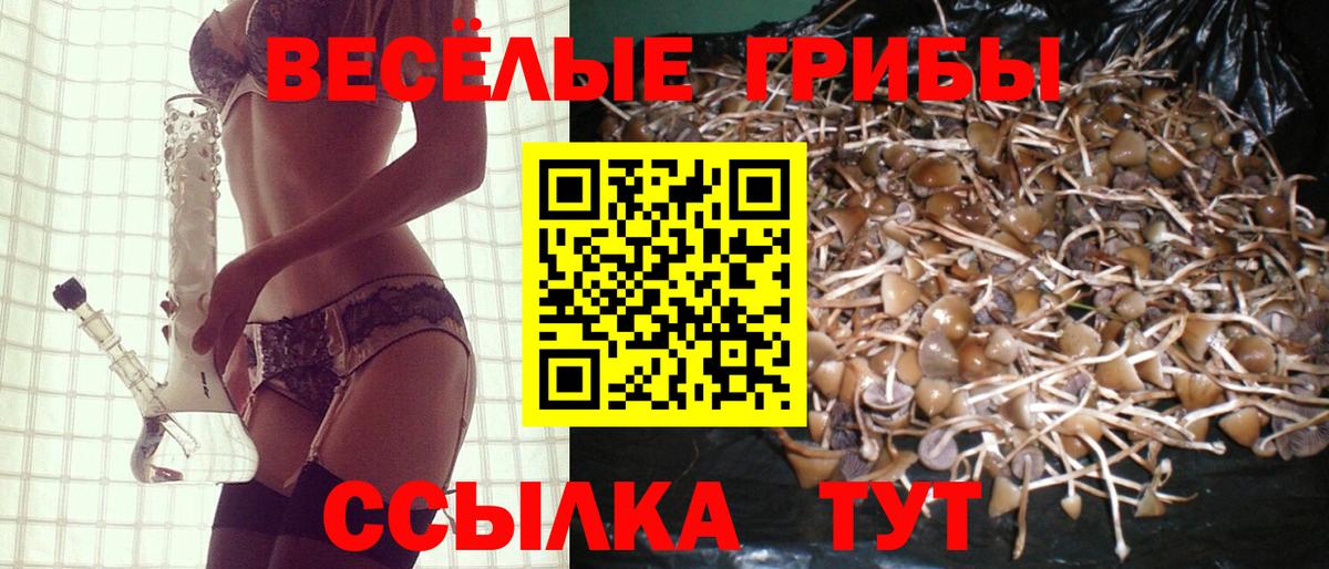 Псилоцибиновые грибы мицелий Барнаул