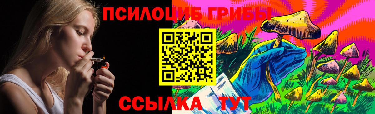 Псилоцибиновые грибы прущие грибы  Барнаул 