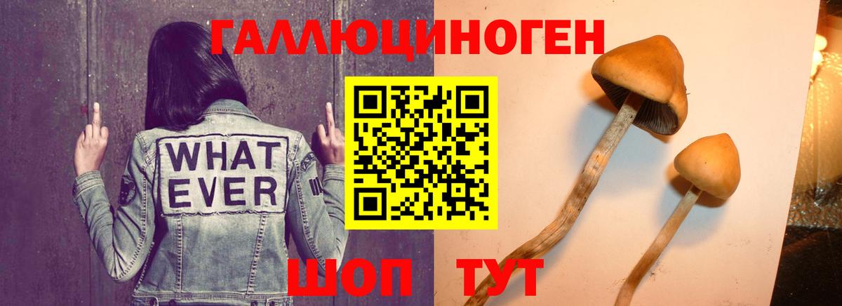 Галлюциногенные грибы ЛСД Барнаул