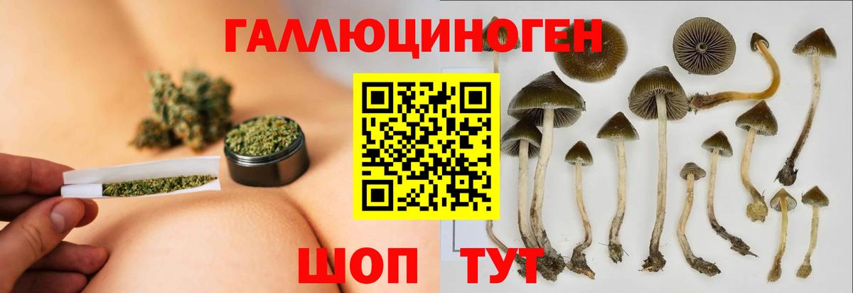Барнаул  цена наркотик  Вход с VPN  Псилоцибиновые грибы ЛСД 